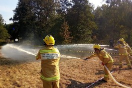В Калининградской области выбрали лучших лесных пожарных (фото)