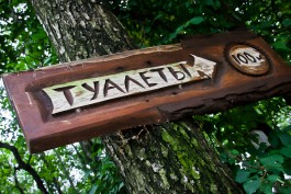 Цуканов поручил разработать программу по установке общественных туалетов в городах области