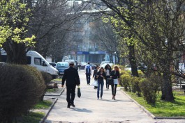 В выходные в Калининградской области будет тепло и солнечно
