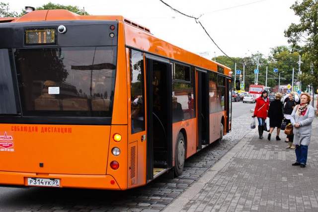 Что за иностранцы озвучивают объявления в калининградских автобусах?
