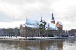 На рабочей неделе в Калининградской области ожидаются ночные заморозки