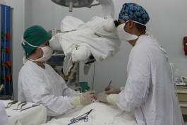 В Детской областной больнице провели сложную операцию по удалению опухоли мозга
