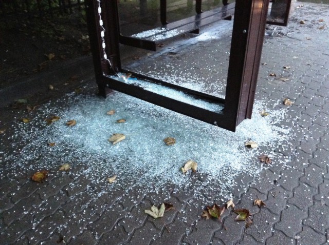 С начала года вандалы разбили в Калининграде 21 остановку