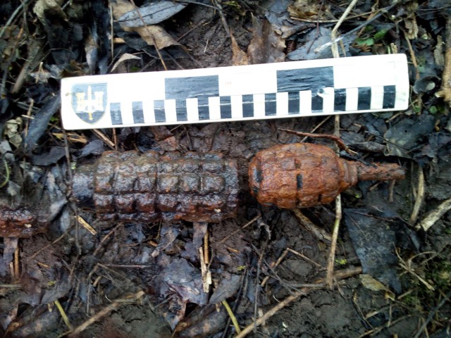 У литовско-российской границы обнаружили гранату и мину времён ВОВ (фото)