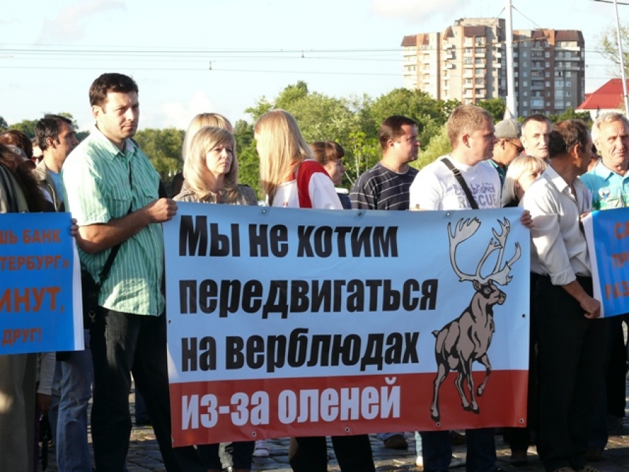 «Не хотим ездить на верблюдах из-за оленей»: фоторепортаж Калининград.Ru (фото)