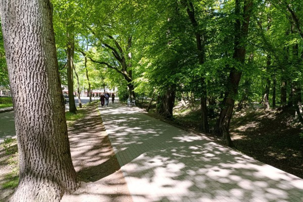 Калининградцам предлагают выбрать территорию для благоустройства в 2027 году