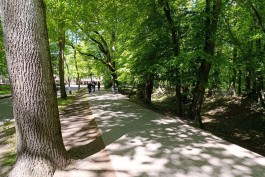 Калининградцам предлагают выбрать территорию для благоустройства в 2027 году