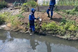 В Гурьевском округе обнаружили новые загрязняющие выпуски в Гагаринский ручей