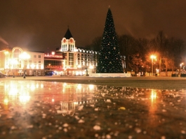 Новогоднюю ёлку на площади Победы установят к 15 декабря