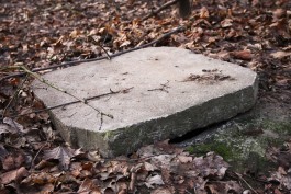 На старом кладбище на ул. Донского выкопали останки более 10 тысяч человек