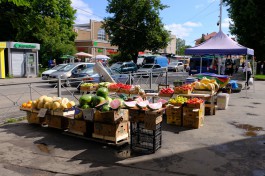 Рядом с Балтийским рынком в Калининграде устроили облаву на нелегальных торговцев