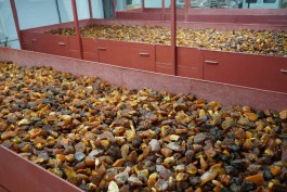 «Очередной рекорд»: в 2025 году в Калининградской области добыли более 700 тонн янтаря