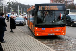 В Калининграде часть автобусов не выходят на линию из-за болеющих водителей