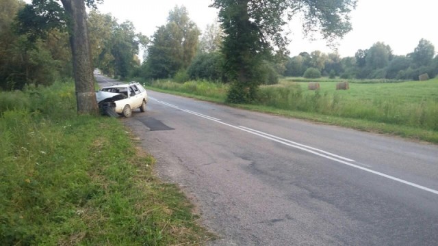 Под Гусевом пьяный водитель «Фольксвагена» врезался в дерево: погиб пассажир