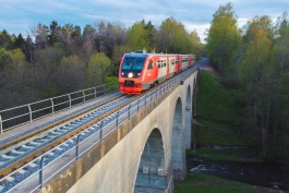 В Токаревке приступают к капитальному ремонту столетнего арочного моста