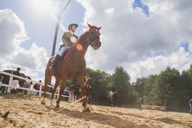 «Пора по парам»: в регионе провели соревнования по конному спорту (фото)