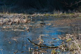 В Полесском округе достают из болота истребитель времён ВОВ