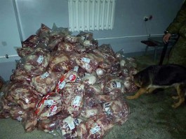 Поляк пытался ввезти в Калининград тонну свинины в туристическом автобусе