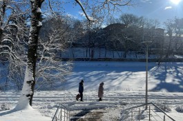 В выходные в Калининградской области ожидаются сильные морозы и солнце