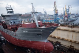 «Начальник Камчатки»: на заводе «Янтарь» спустили на воду рыболовецкий траулер «Ленинец» (фото)