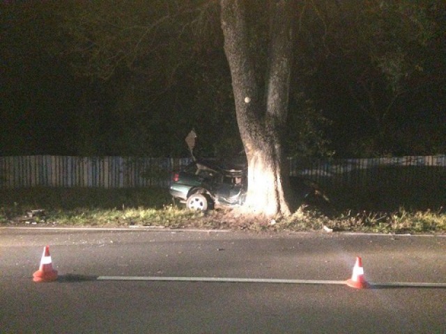 На трассе Калининград — Правдинск автомобиль врезался в дерево: погиб 37-летний водитель