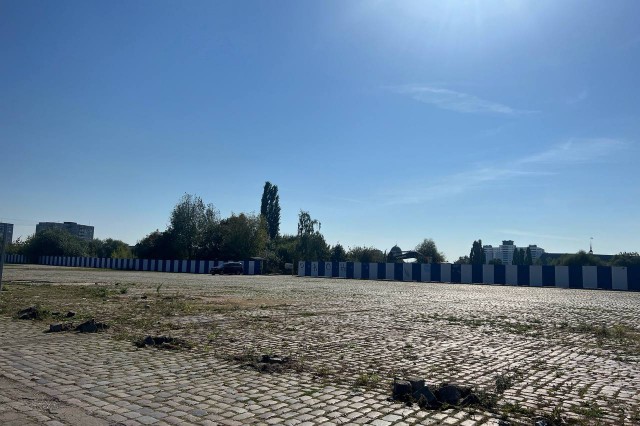 В Калининграде проведут вырубку «неперспективной растительности» на территории у снесённого Дома Советов