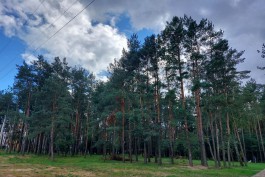 Экспертиза одобрила проект Центра русской культуры в Калининграде