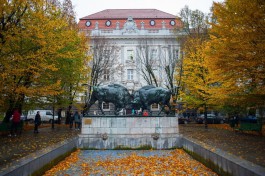 Калининград вошёл в топ-5 популярных городов России для недорогих поездок осенью