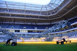«Прошили газон»: на стадионе к ЧМ-2018 в Калининграде завершили подготовку футбольного поля (фото)