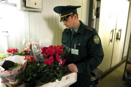 К 8 Марта в Калининградскую область завезли более двух миллионов цветов