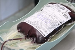 Калининградцы за пять часов сдали около пятидесяти литров донорской крови