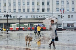 На рабочей неделе в Калининградской области ожидаются осадки и усиление ветра