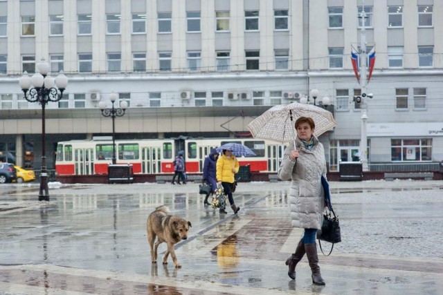 На рабочей неделе в Калининградской области ожидаются осадки и усиление ветра