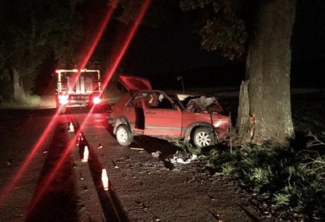 Под Правдинском «Фольксваген» врезался в дерево: водитель погиб, пассажира госпитализировали