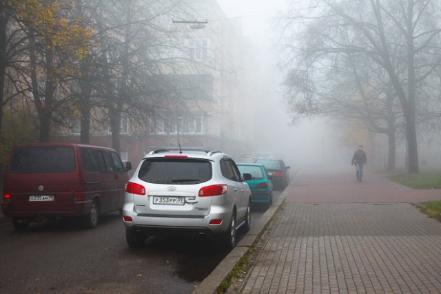 ГИБДД предупреждает водителей о тумане и гололедице на дорогах Калининградской области