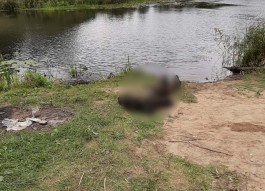 В реке под Черняховском обнаружили тело 40-летнего мужчины