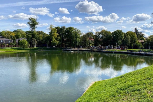 На озере Поплавок в Калининграде высадят новые деревья