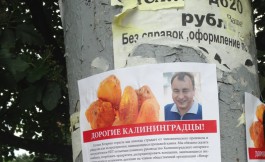 «Балет в городе»: в Калининграде на митинг в поддержку беглого Богдана скупают людей за $500