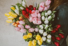 Цветы как способ порадовать лучшую подругу