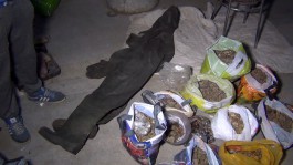 Полицейские нашли у жителя области почти 38 кг янтаря без документов (фото)