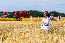 «Праздник среди колосьев»: как в Калининградской области прошёл День поля