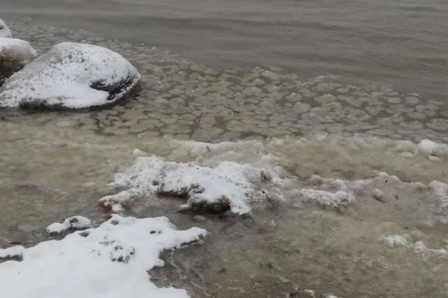 На побережье Куршского залива заметили ледяные «блинчики»