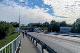 На улице Суворова в Калининграде разрешили вырубить 25 деревьев