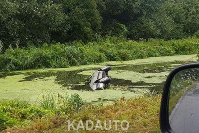 На окраине Калининграда водитель на «Фольксвагене» вылетел в болото