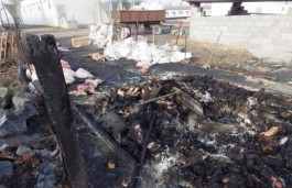 Экологи: Свинокомплекс под Зеленоградском сжигает туши свиней с помощью автопокрышек