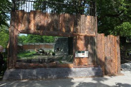 В калининградском зоопарке установили смотровое стекло в вольере со львами  (фото)