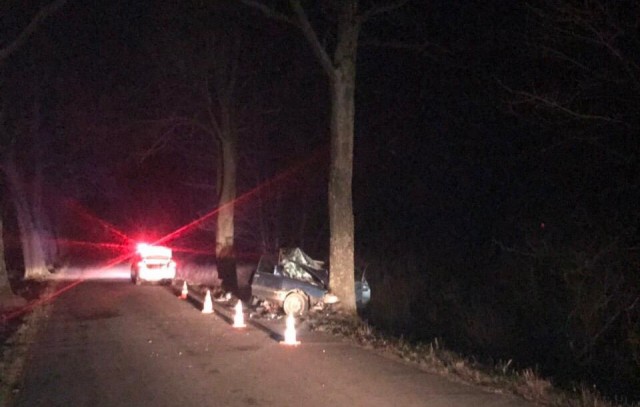 В Гурьевском округе пьяный водитель врезался в дерево: пострадали четыре человека