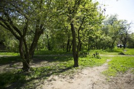 Мэр Калининграда предложил реанимировать городские парки за счёт инвесторов