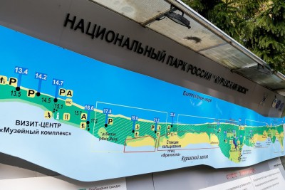 Проект велодорожки на Куршской косе получил положительное заключение госэкспертизы
