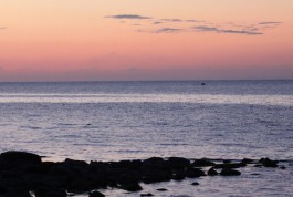 Учёные: Уровень нефтяного загрязнения моря в регионе втрое ниже, чем в Финском заливе